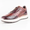 chato 3703 skin gold latigo tinto vino canela hueso cafe interno